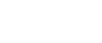 DNV Navigator
